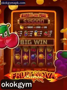 Descubra o Mundo de FruitNovaSuper: Um Guia Completo
