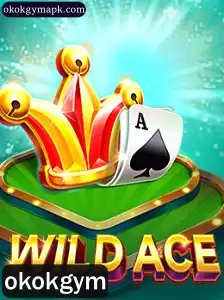 Descubra o Novo Jogo Sensação: WildAce